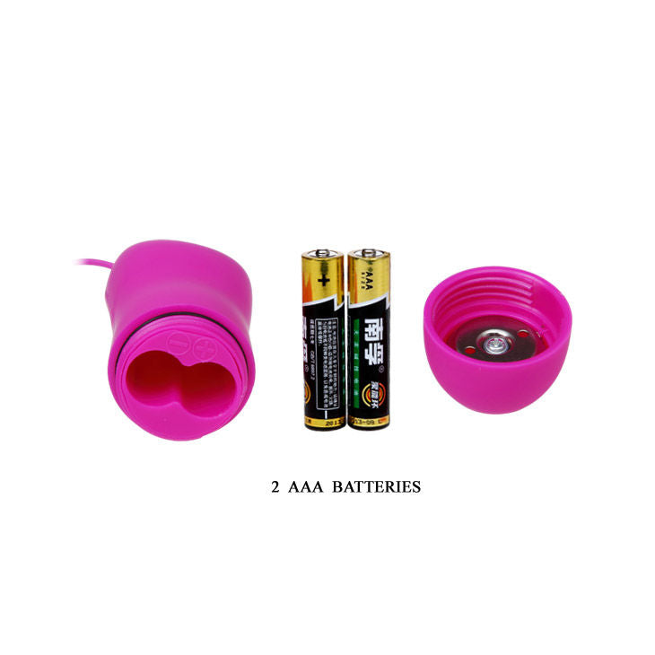 BAILE - VIBRADOR CUTE SECRET DOLFIN 12V