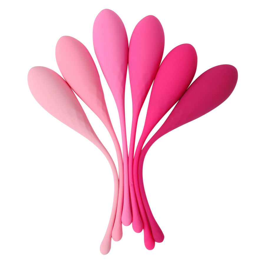 LESLIE - KEGEL FIT KIT D'ENTRAÎNEMENT DES MUSCLES PELVIENNES 6 POIDS